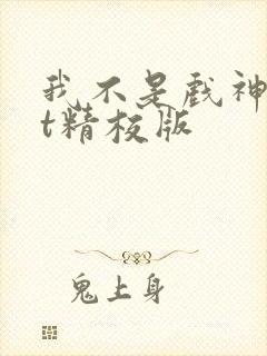 我不是戏神txt精校版