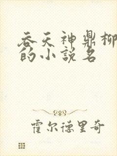 吞天神鼎柳无邪的小说名