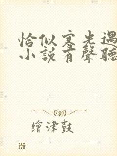 恰似寒光遇骄阳小说有声听书免费