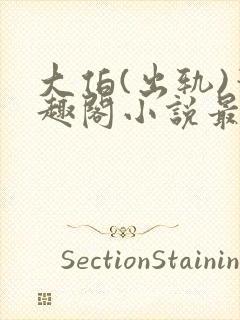 大伯(出轨)笔趣阁小说最新章节更