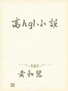 高hgl小说封面