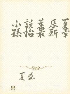 小说叶辰夏若雪孙怡最新章节