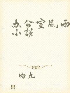 办公室风雨完整小说