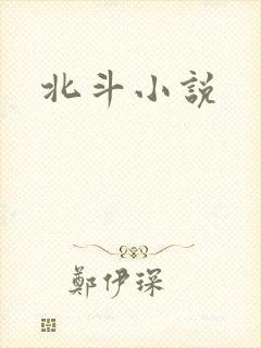 北斗小说