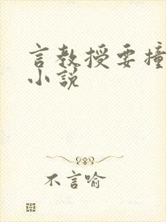 言教授要撞坏了小说