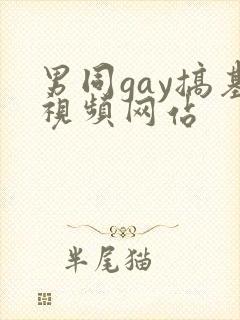 男同gay搞基视频网站