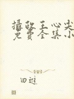 摄政王心尖宠妃免费全集小说