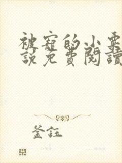 被宠的小粟宝小说免费阅读封面