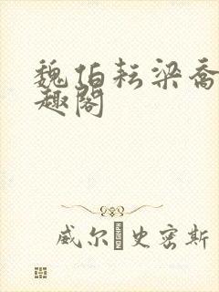 魏伯耘梁乔婷笔趣阁封面