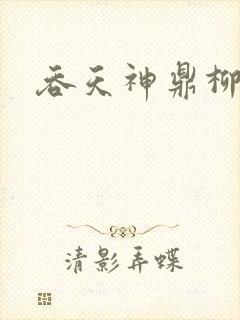 吞天神鼎柳无邪