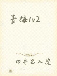 青梅1v2