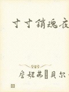 寸寸销魂夜春光