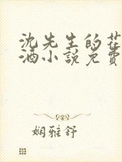 沈先生的花式调酒小说免费阅读封面