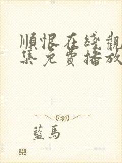 顺恨在线观看全集免费播放