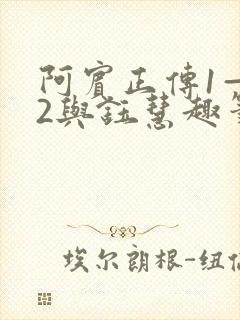 阿宾正传1—72与钰慧趣笔阁txt
