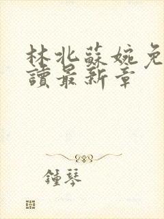 林北苏婉免费阅读最新章封面