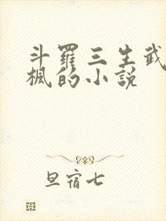 斗罗三生武魂叶枫的小说封面