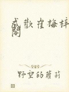 成欢崔梅梓笔趣阁封面