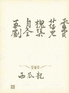 五月槐花香电视剧全集免费观看高清