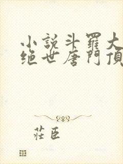 小说斗罗大陆2绝世唐门顶点封面