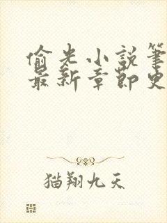 偷光小说笔趣阁最新章节更新时间