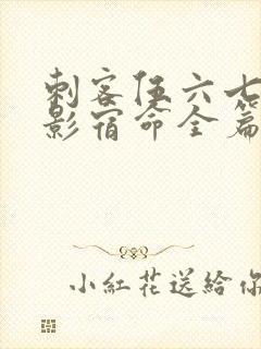 刺客伍六七之暗影宿命全篇