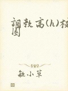 调教高(h)校园封面