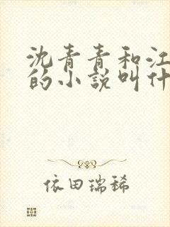 沈青青和江致勋的小说叫什么名字