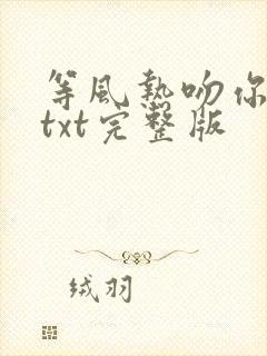 等风热吻你下载txt完整版