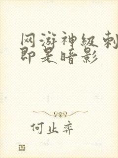 网游神级刺客我即是暗影