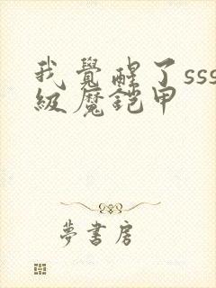 我觉醒了sss级魔铠甲