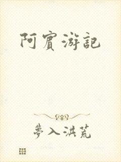 阿宾游记