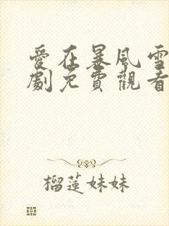 爱在暴风雪电视剧免费观看全集高清