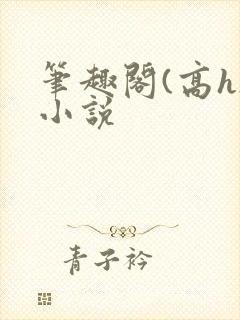 笔趣阁(高h)小说