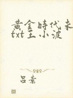 黄金时代未删减txt王小波封面
