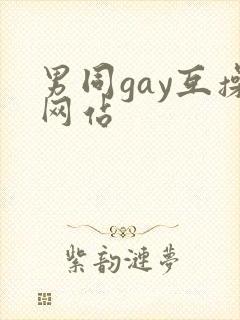 男同gay互操网站