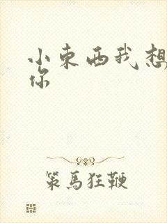 小东西我想弄坏你