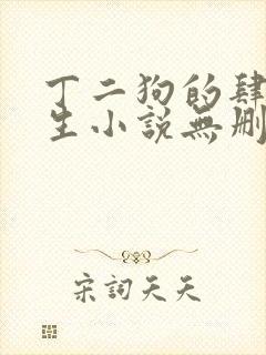 丁二狗的肆意人生小说无删减全文阅读