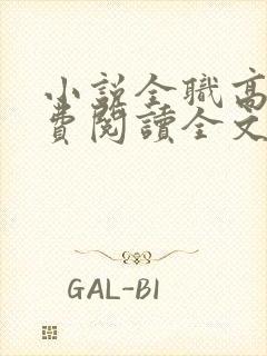 小说全职高手免费阅读全文无窗口封面