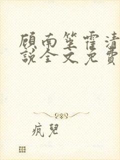 顾南笙霍清寒小说全文免费阅读全文封面