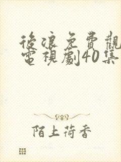 后浪免费观看的电视剧40集在线播放