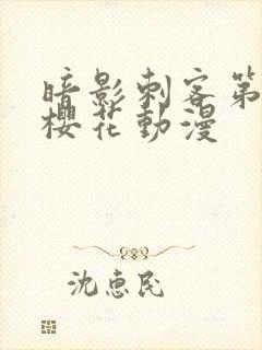 暗影刺客第五季樱花动漫