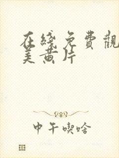 在线免费观看欧美黄片