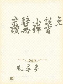 宋辞小说免费阅读无弹窗