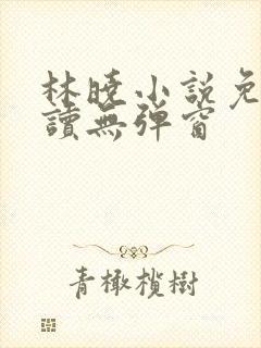 林晓小说免费阅读无弹窗