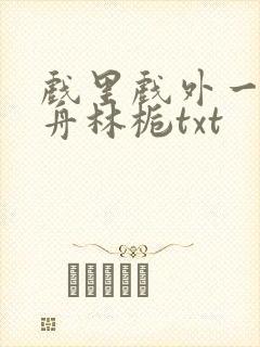 戏里戏外一叶孤舟林栀txt