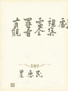 有罪电视剧免费观看全集