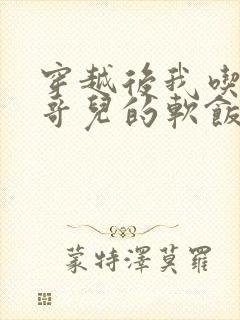 穿越后我吃到了哥儿的软饭炉山灰封面