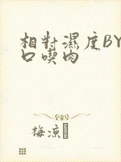 相对湿度BY大口吃肉封面