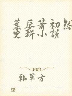 叶辰萧初然最快更新小说